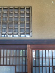 IMG_3518