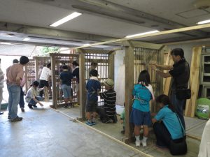 IMG_7370