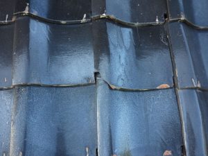 IMG_7602