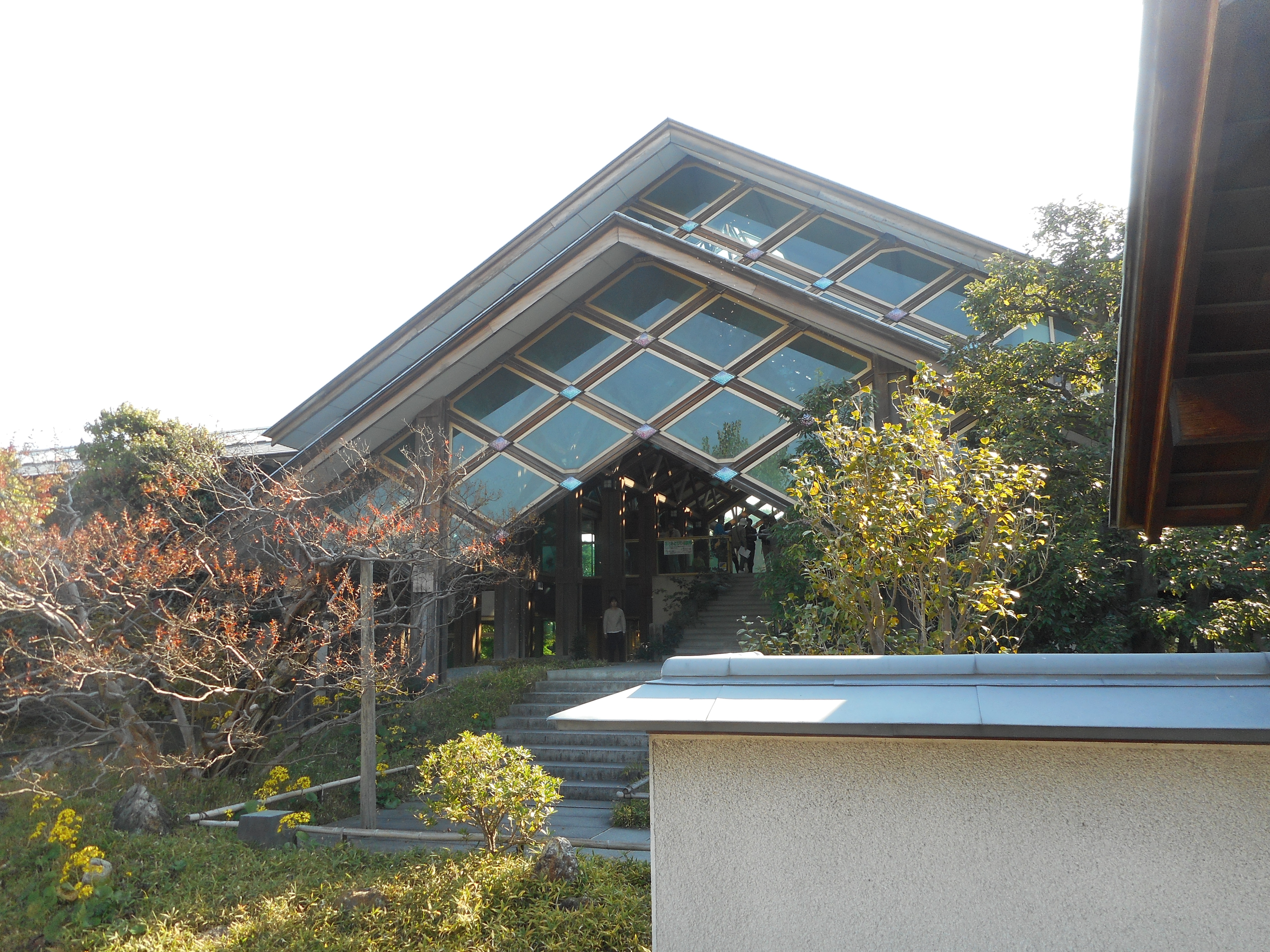 dscn5004